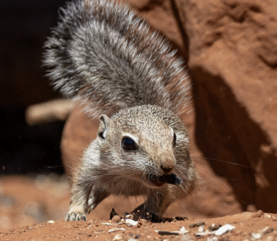 Screenshot 2025 05 14 at 9.57.23 AM